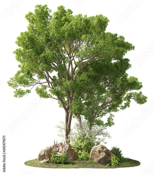 Fototapeta Group of trees among the rocks. Cutout trees isolated on transparent background. Landscape of green deciduous in summer. Forest scape for landscaping or architectural visualisation.	
