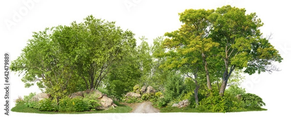 Fototapeta Coniferous forest pathway. Cutout trees isolated on transparent background. Forest scape with trees and bushes among the rocks. Tree line landscape in summer.	
