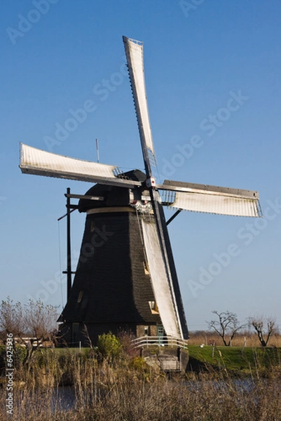 Fototapeta Windmill in Kinderdijk, Netherlands