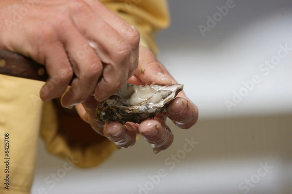 Obraz ostréiculteur 