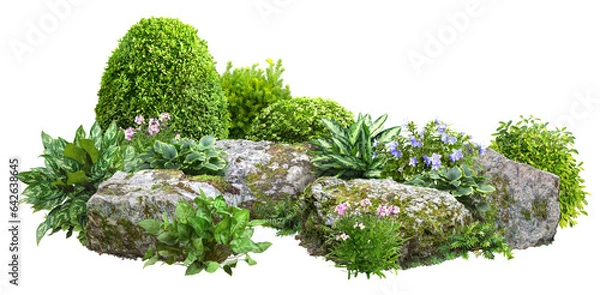 Fototapeta Cutout rock surrounded by flowers. Garden design isolated on transparent background. Flowering shrub and green plants for landscaping. Decorative shrub and flower bed