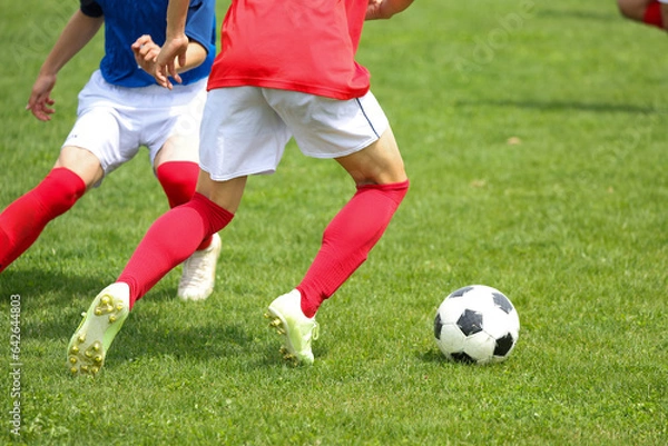 Fototapeta サッカー　フットボール