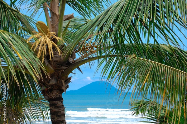 Obraz Litoral Paulista