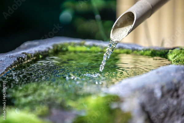 Fototapeta 日本のつくばい　和風イメージ