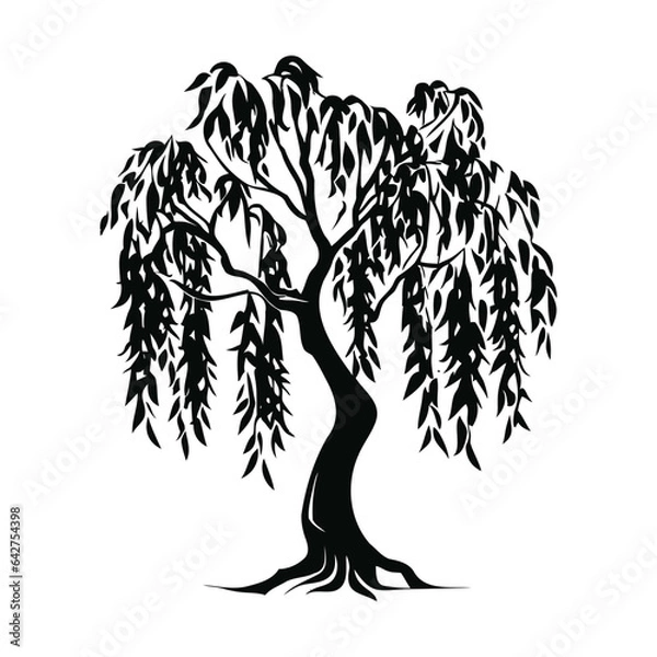 Obraz Willow tree, black silhouette on a transparent background