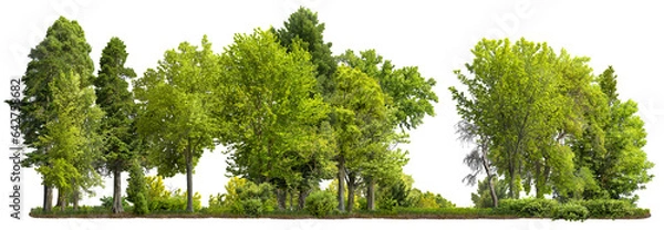 Fototapeta Cutout tree line. Forest and green foliage in summer. Row of trees and shrubs isolated on transparent background. Forest scape. High quality clipping mask