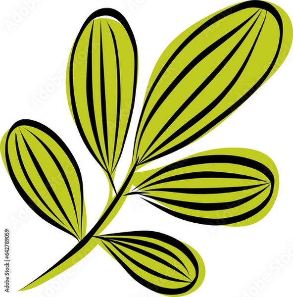 Fototapeta Colorful autumn leaves. Simple cartoon flat style. Isolated on white background vector illustration. Design for stickers, logo, web and mobile app.