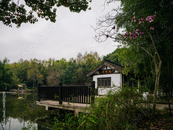 Obraz house on the river
