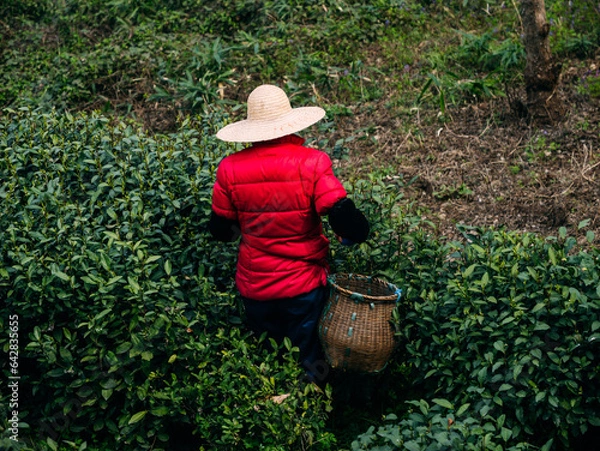 Obraz person with a shovel