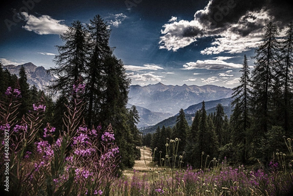 Obraz sunset in the mountains