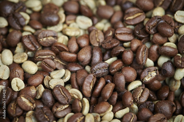 Fototapeta Coffee beans