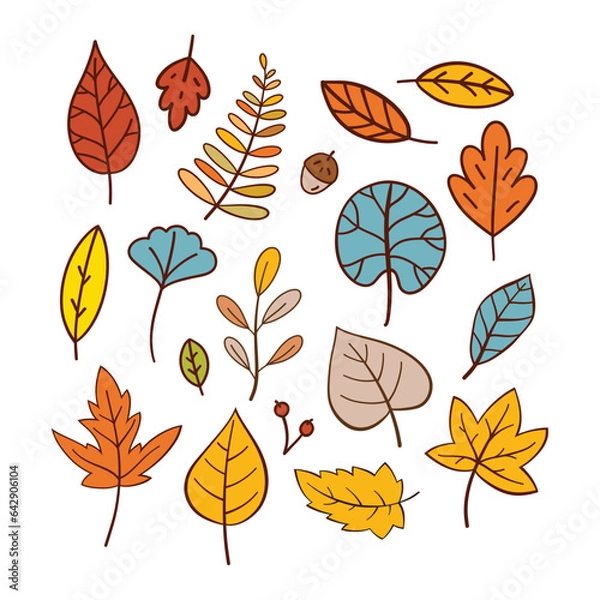 Obraz Hand Drawn Autumn Leaves Collection