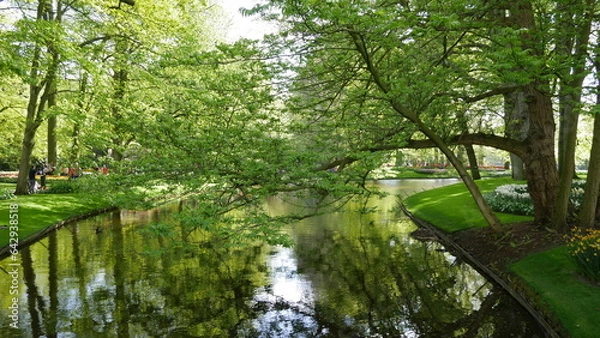 Fototapeta Fluss mit Wald