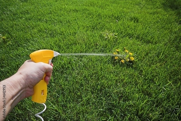Obraz weed killer