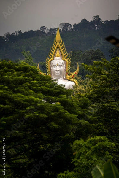 Obraz Big Buddha statue, set in the forest, on the mountain, tree background, beautiful in Thailand