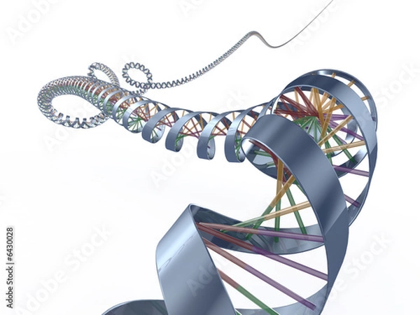 Fototapeta dna spiral
