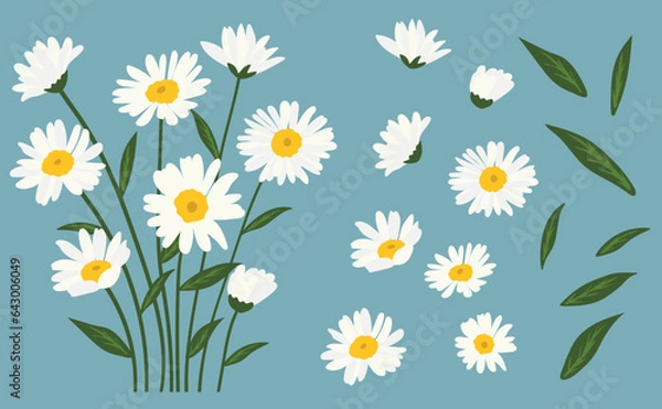 Obraz Daisy flower background.Eps 10 vector