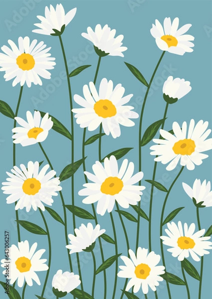 Obraz Daisy flower background.Eps 10 vector