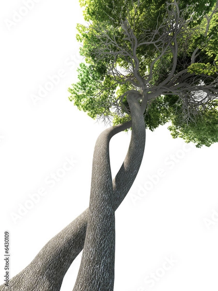 Obraz dna modified tree