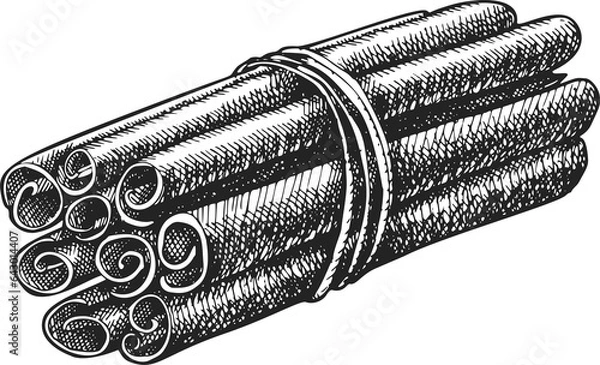 Fototapeta Hand Drawn Cinnamon Spices Illustration