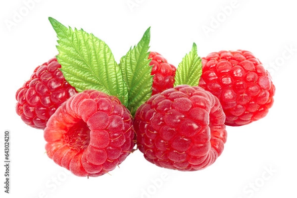 Fototapeta Group of raspberry with leaves isolated on transparent background with PNG.