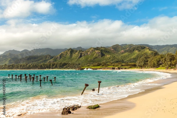 Obraz Pounders Beach