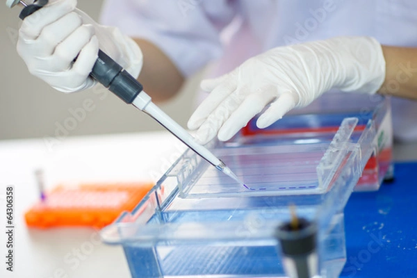 Obraz Loading samples into  gel for electrophoresis