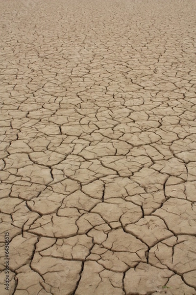 Fototapeta Trockenheit