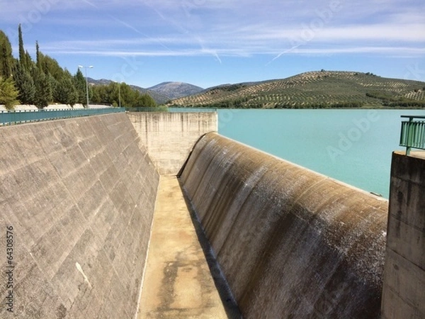 Obraz Aliviadero de pantano