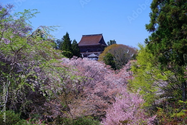 Obraz 桜満開の世界遺産・吉野山（紀伊山地の霊場と参詣道）