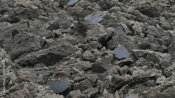 Obraz 耕作された固い黒土