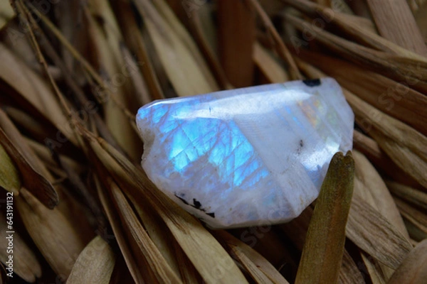 Fototapeta Moonstone mineral on leafs background