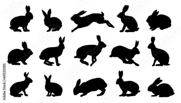 Obraz sylwetki królika