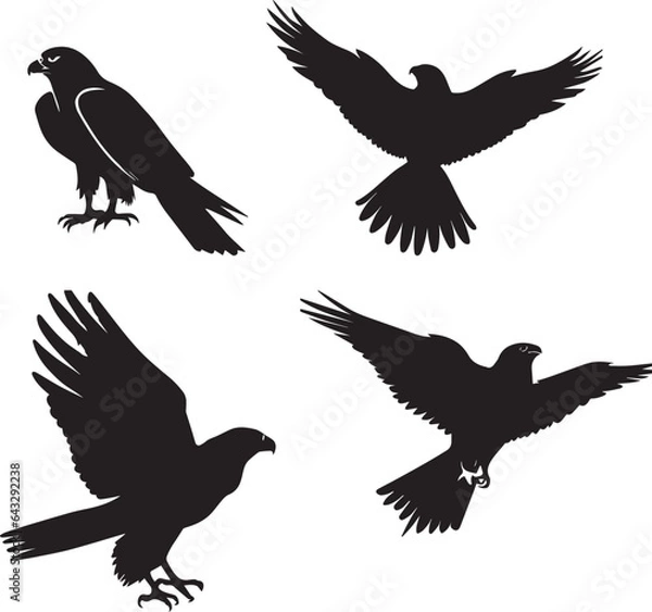 Obraz Flying Bird vector silhouette illustration black color