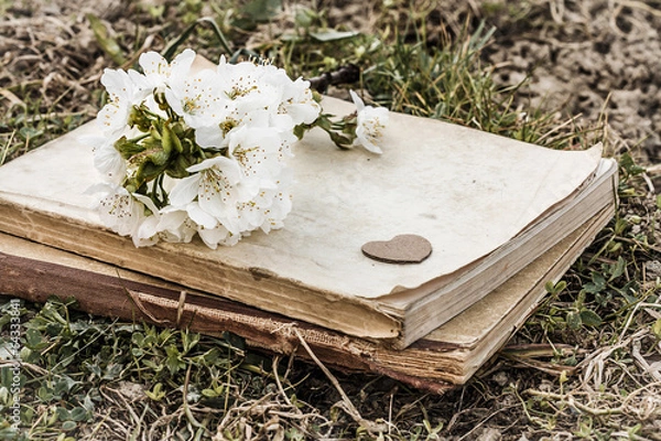 Fototapeta book and twig with cherry blossoms