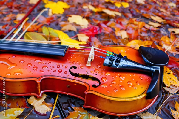Obraz Violin And Autumn