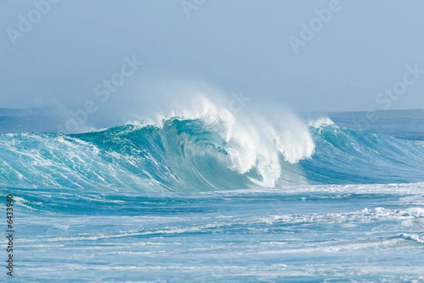 Obraz fala grzbietowa