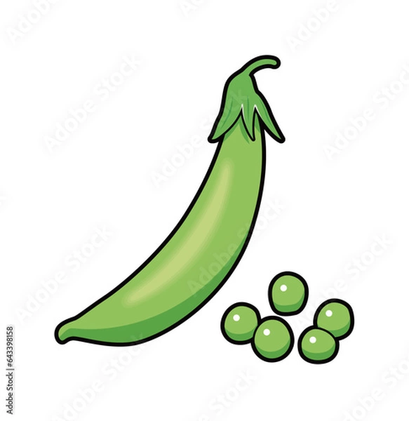 Obraz えんどう　グリーンピース　イラスト