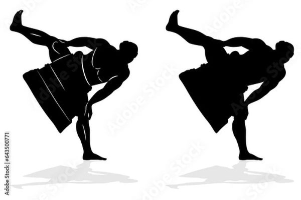 Fototapeta silhouette of sumo wrestler, vector drawing