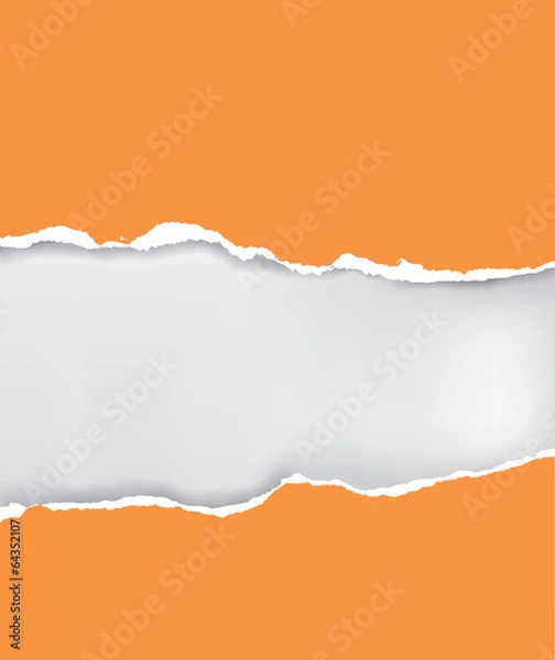 Obraz Vector ripped paper