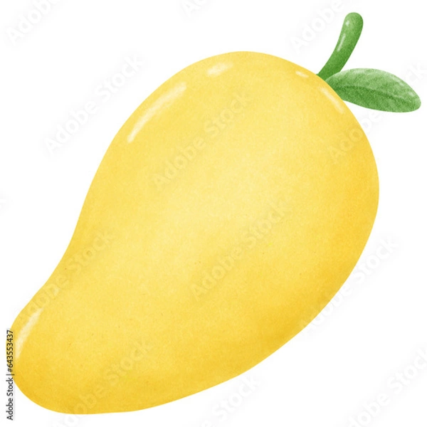 Fototapeta mango illustration vecter art