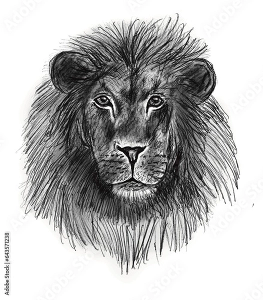 Obraz Lion