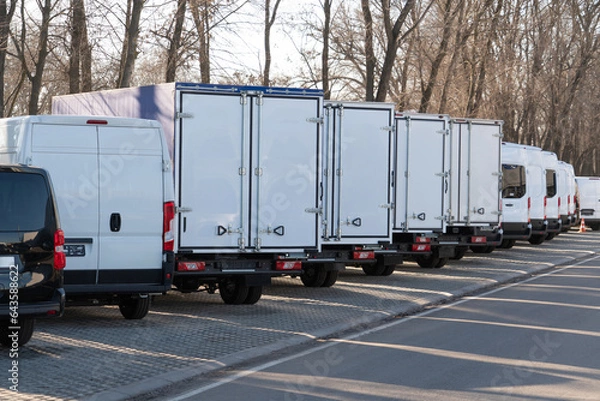 Fototapeta A lot of new trucks and vans in a row.