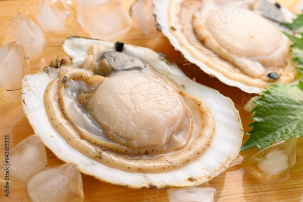 Fototapeta 日本産の活ホタテのイメージ