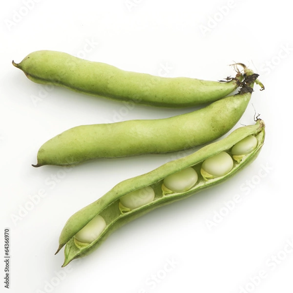 Fototapeta Broad beans on a white background