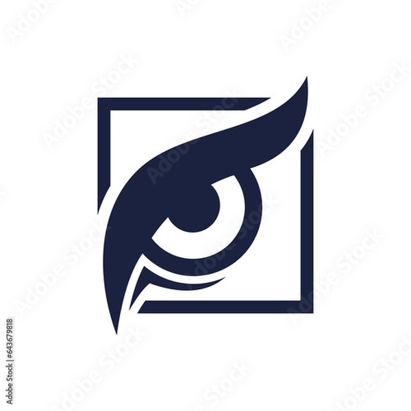 Obraz Eagle Eyes Bird Hawk Logo Design Inspiration. logo,vector,