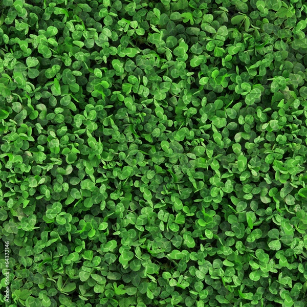 Obraz Green grass clover seamless texture