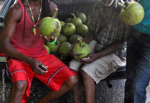 Obraz breadfruit jamaican