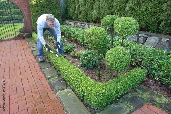 Obraz gardening