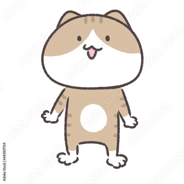 Obraz 立っている猫